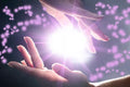 Reiki Usui + Reiki Kundalini